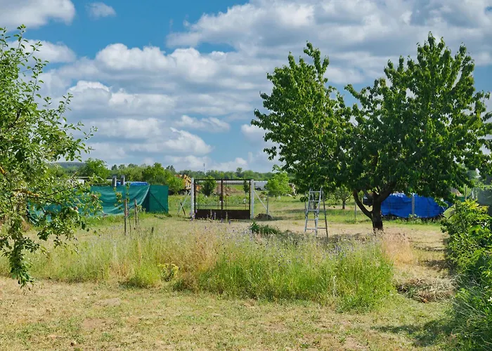 Goggola By Interhome